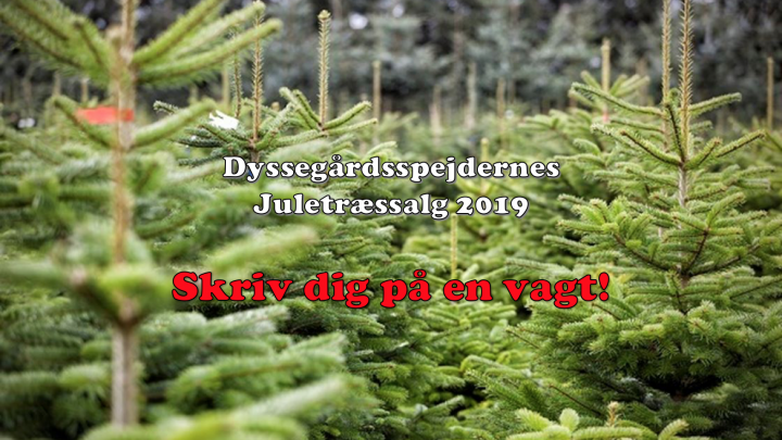 Dyssegårdsspejdernes Juletræssalg 2019