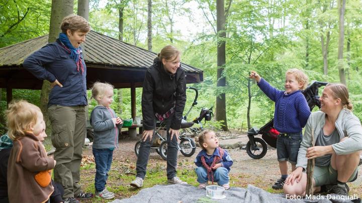 Familiespejd, Dyssegårdsspejderne